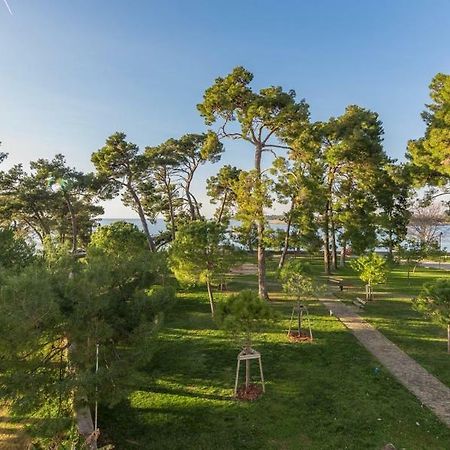 Apartment Hannah Новиград Екстериор снимка